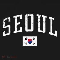 Vintage Seoul South Korea Country Flag Souvenir Vacation T-Shirt thumb 7