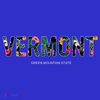 Vermont Style Vintage T-Shirt thumb 7