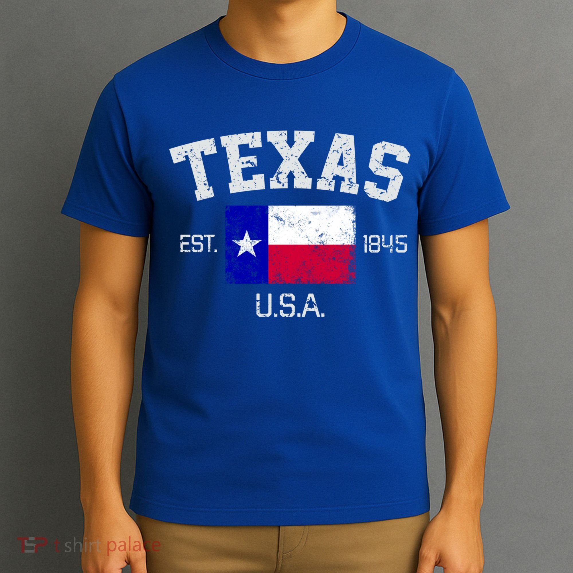Vintage Texas Austin Est 1845 Souvenir Gift Cute Gift T-Shirt