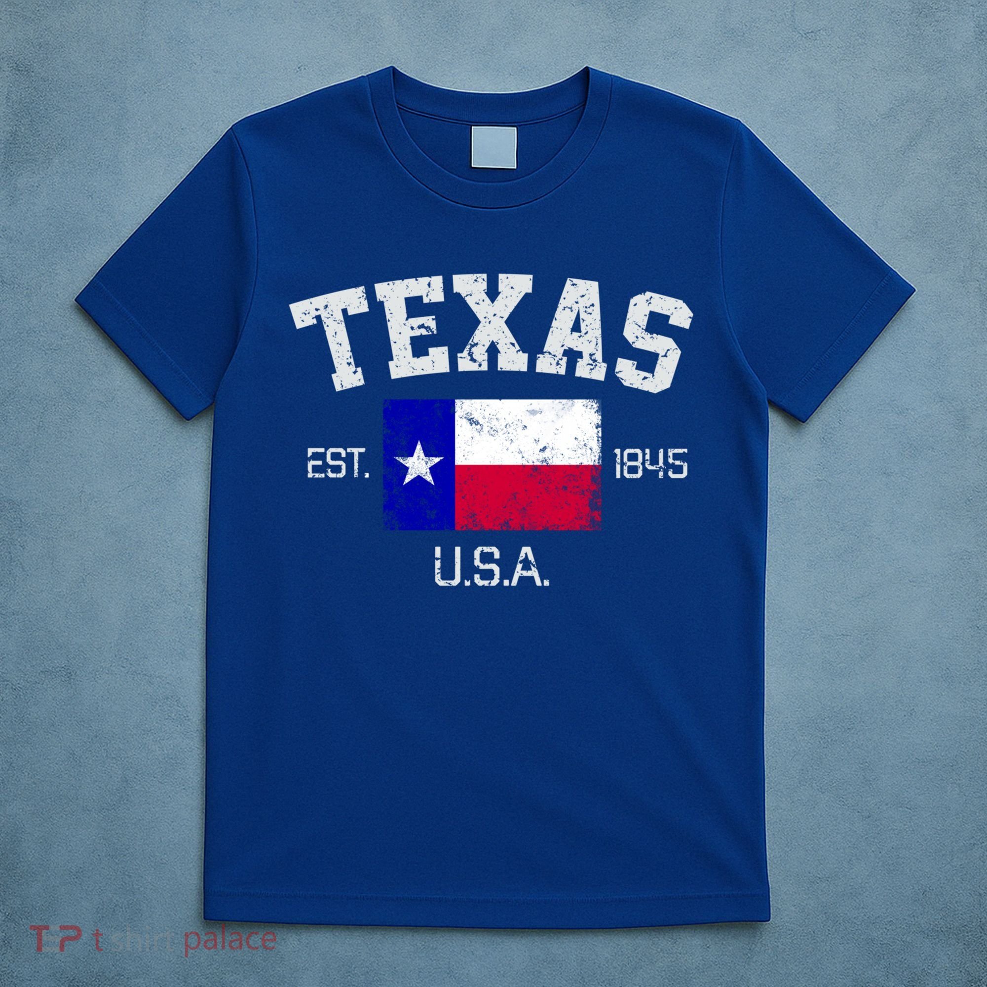 Vintage Texas Austin Est 1845 Souvenir Gift Cute Gift T-Shirt