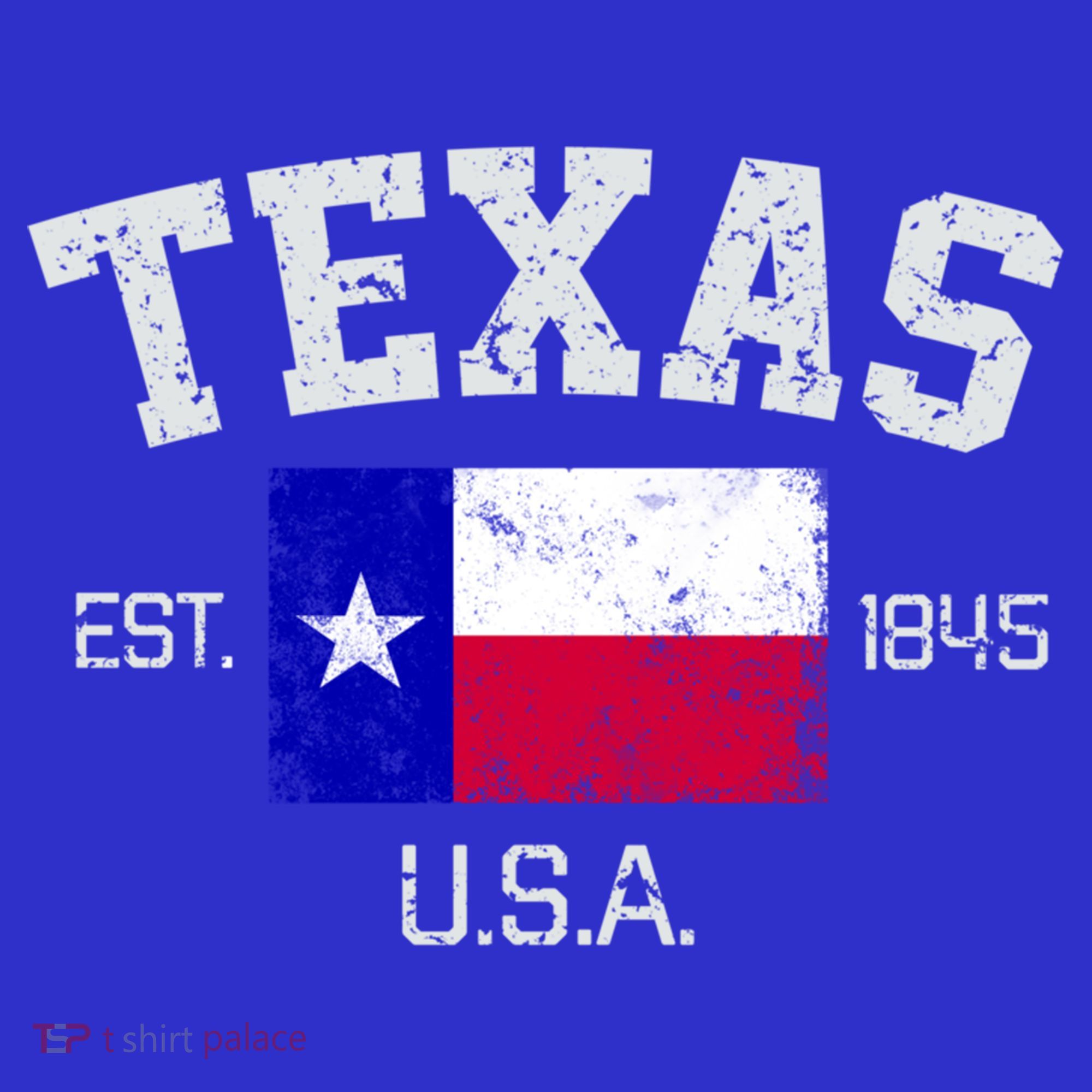 Vintage Texas Austin Est 1845 Souvenir Gift Cute Gift T-Shirt