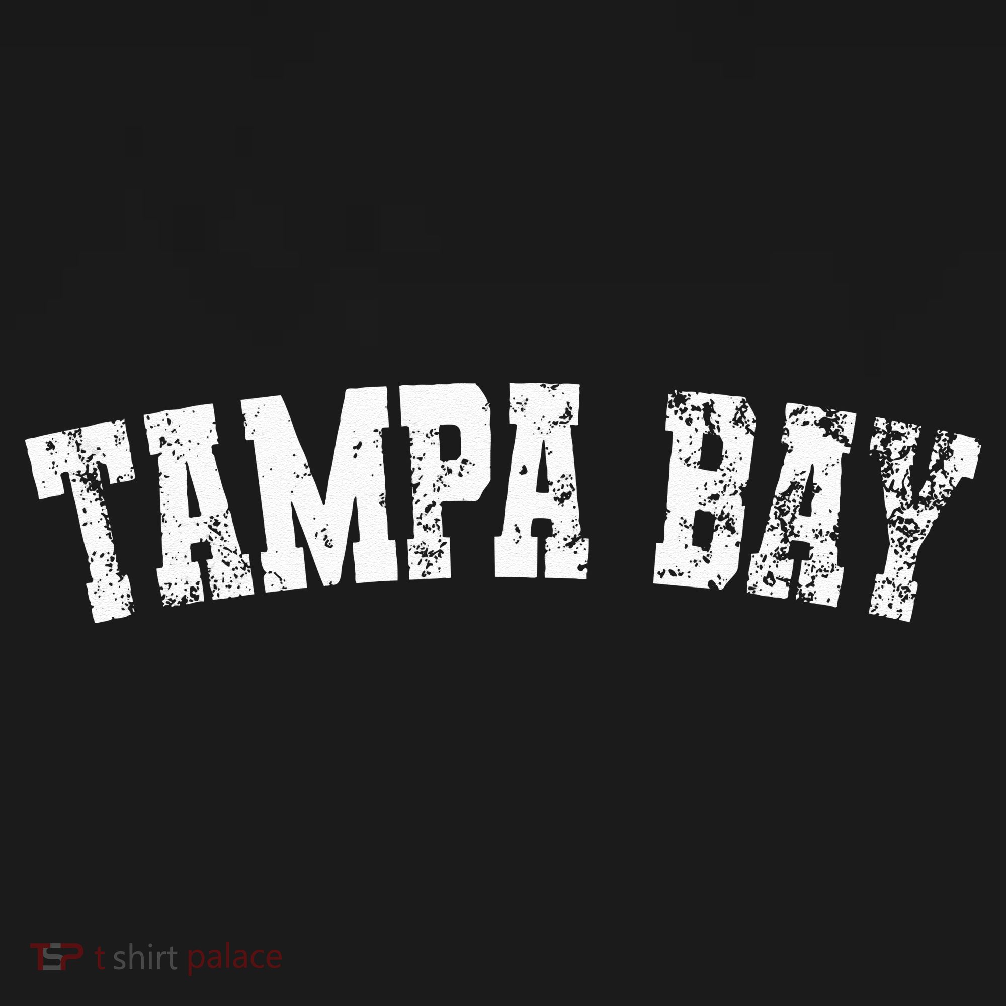 Vintage Tampa Bay Florida Distressed Bold White Text Apparel T-Shirt