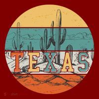 VIntage Texas Desert Cactus Emblem T-Shirt thumb 7