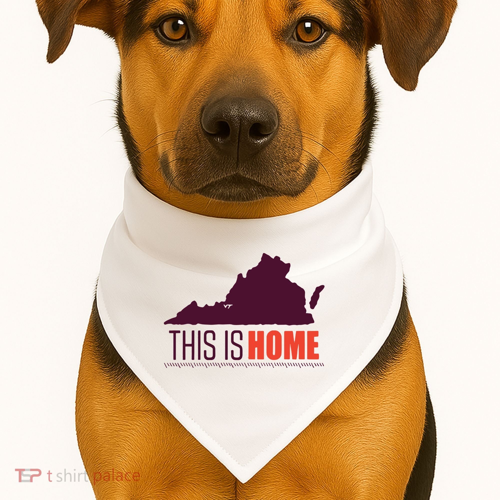Virginia Tech Football Win This Is Home USA-Made Doggie Bandana