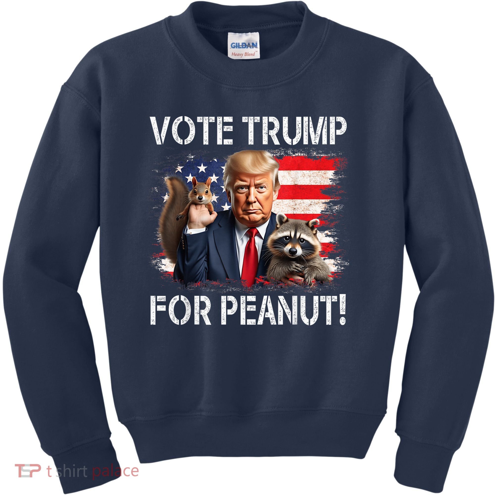 Vote Trump For Peanut The Squirrel Usa Grunged Flag Kids Sweatshirt