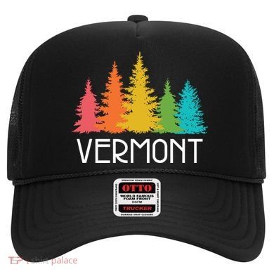 Vermont T Funny Hat