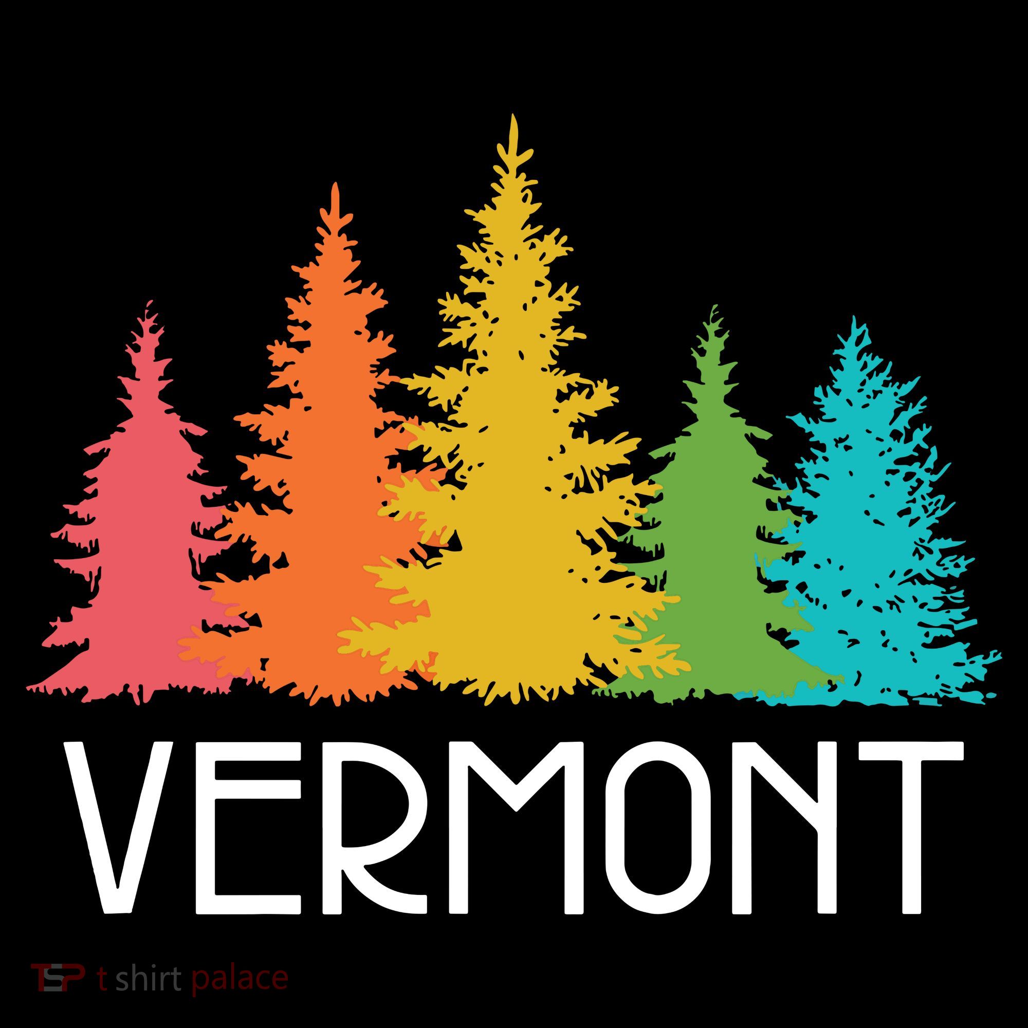 Vermont T Funny Women's T-Shirt