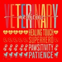Vet Tech Gifts Veterinary Technician Gifts Appreciation Day Santa Hat thumb 1