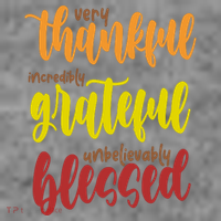 Very Thankful Incredibly Grateful Unbelievably Blessed Toddler Hoodie thumb 2