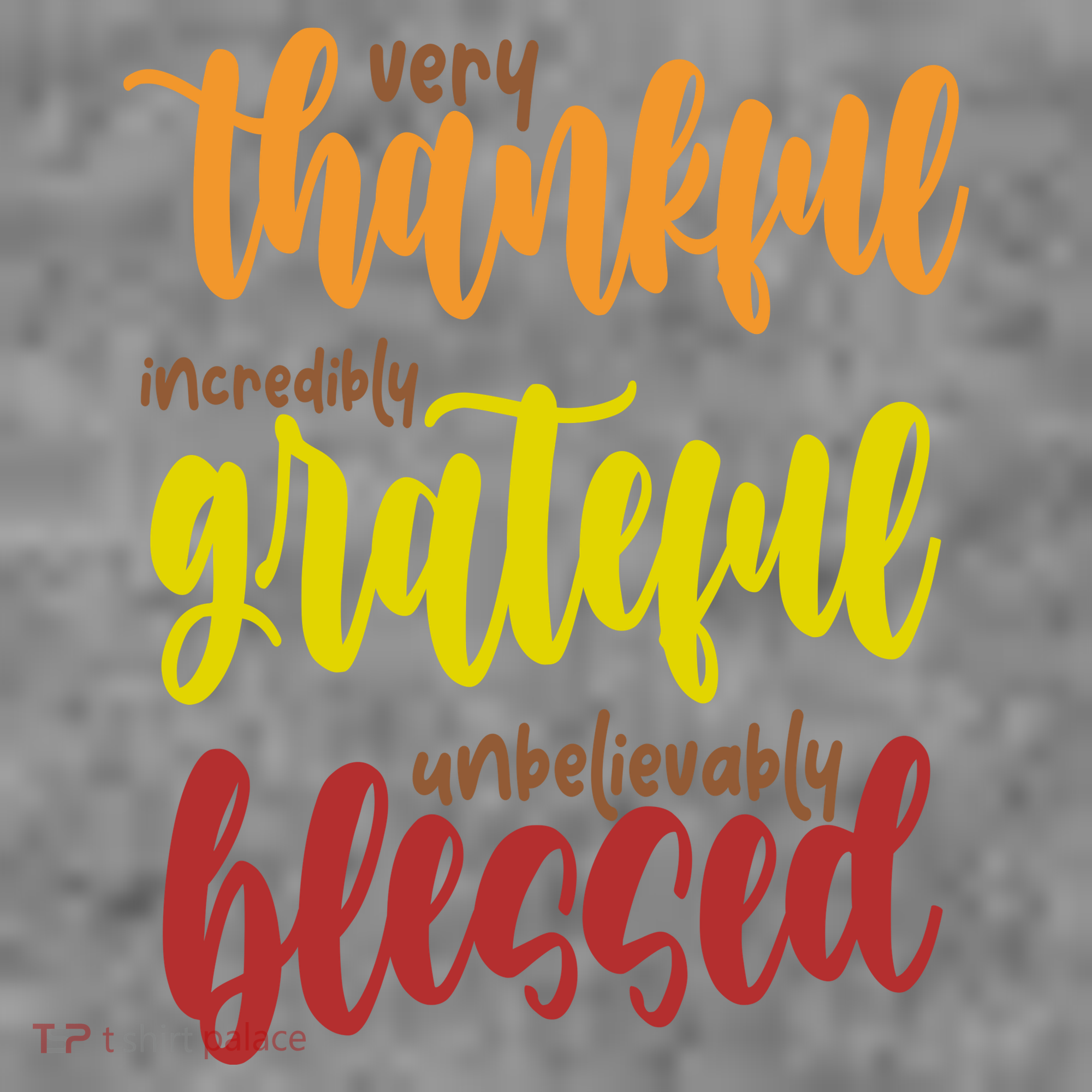 Very Thankful Incredibly Grateful Unbelievably Blessed Toddler Hoodie