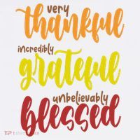 Very Thankful Incredibly Grateful Unbelievably Blessed Kids Sweatshirt thumb 2