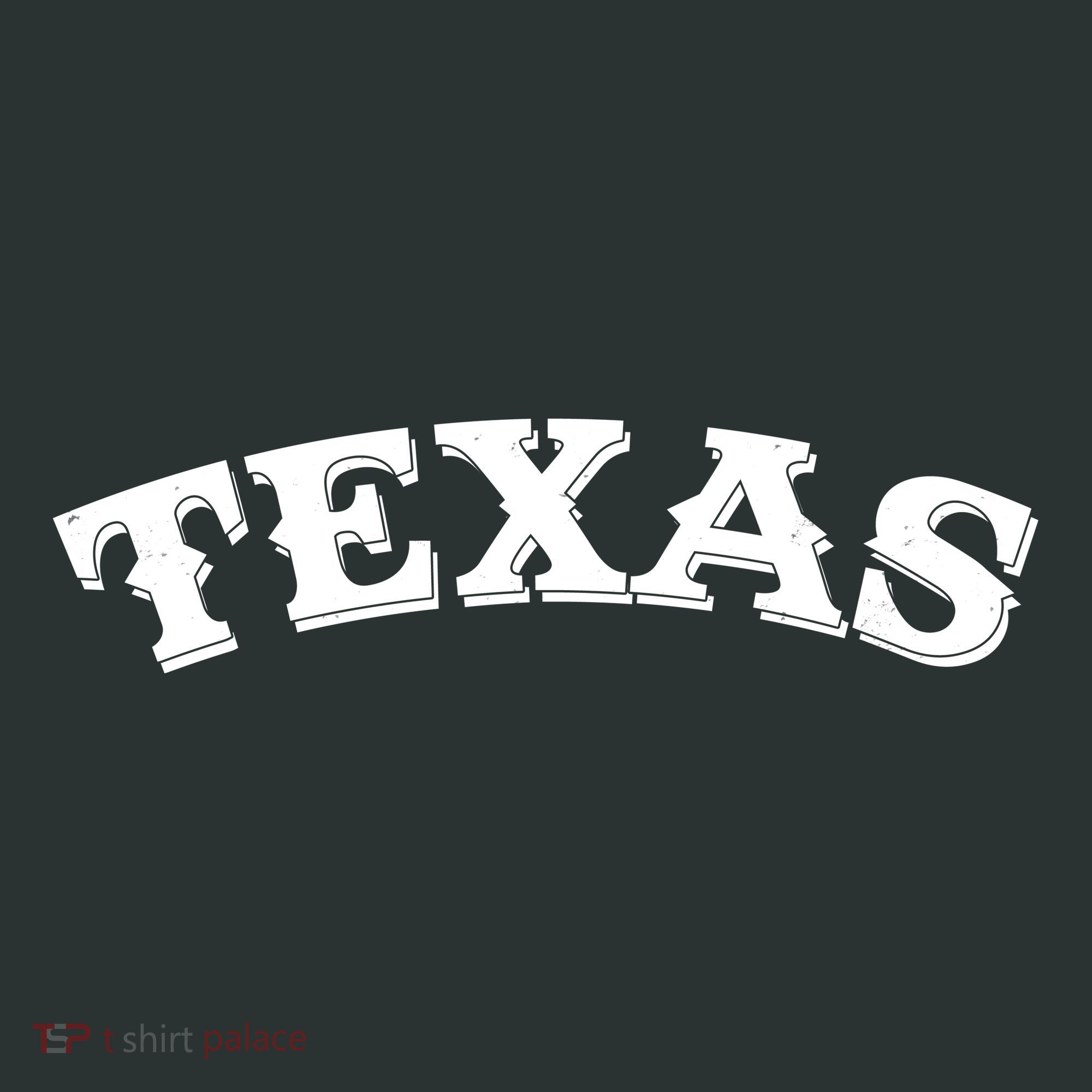 Vintage Texas Logo T-Shirt