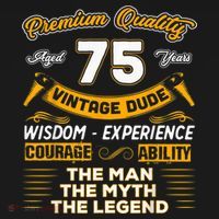 Vintage The Man Myth Legend 75 Yrs 75th Birthday Gift T-Shirt thumb 7