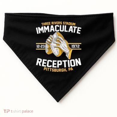 Vintage Three Rivers Stadium Immaculate Reception Football USA-Made Doggie Bandana