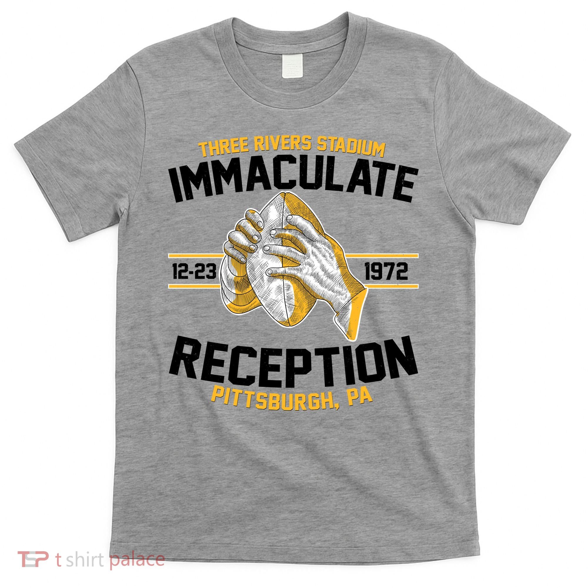 Vintage Three Rivers Stadium Immaculate Reception Football T-Shirt