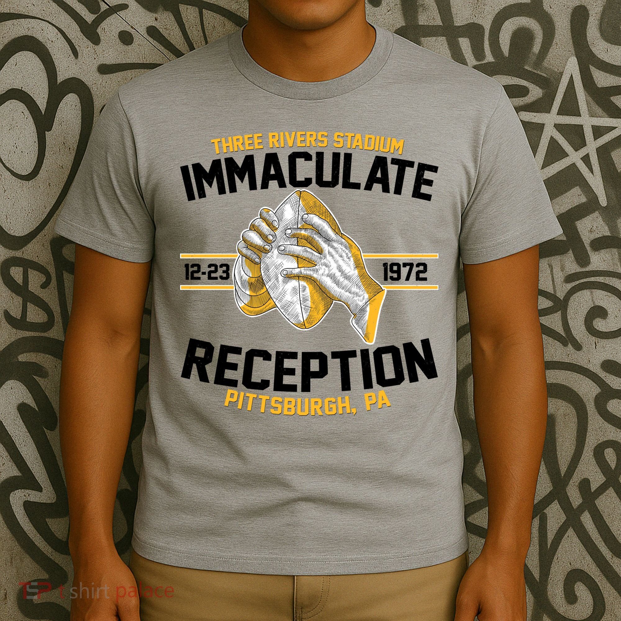Vintage Three Rivers Stadium Immaculate Reception Football T-Shirt