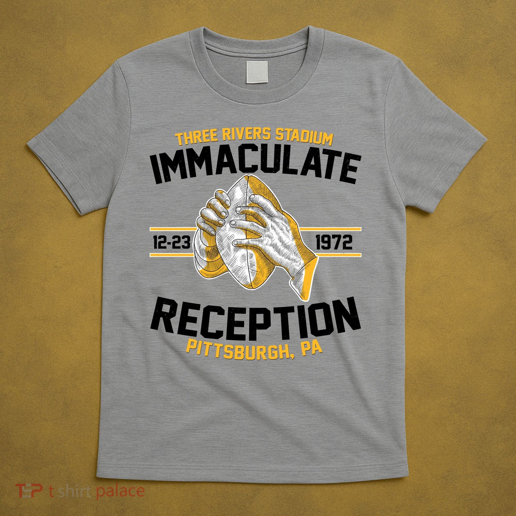 Vintage Three Rivers Stadium Immaculate Reception Football T-Shirt