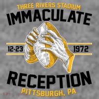 Vintage Three Rivers Stadium Immaculate Reception Football T-Shirt thumb 7