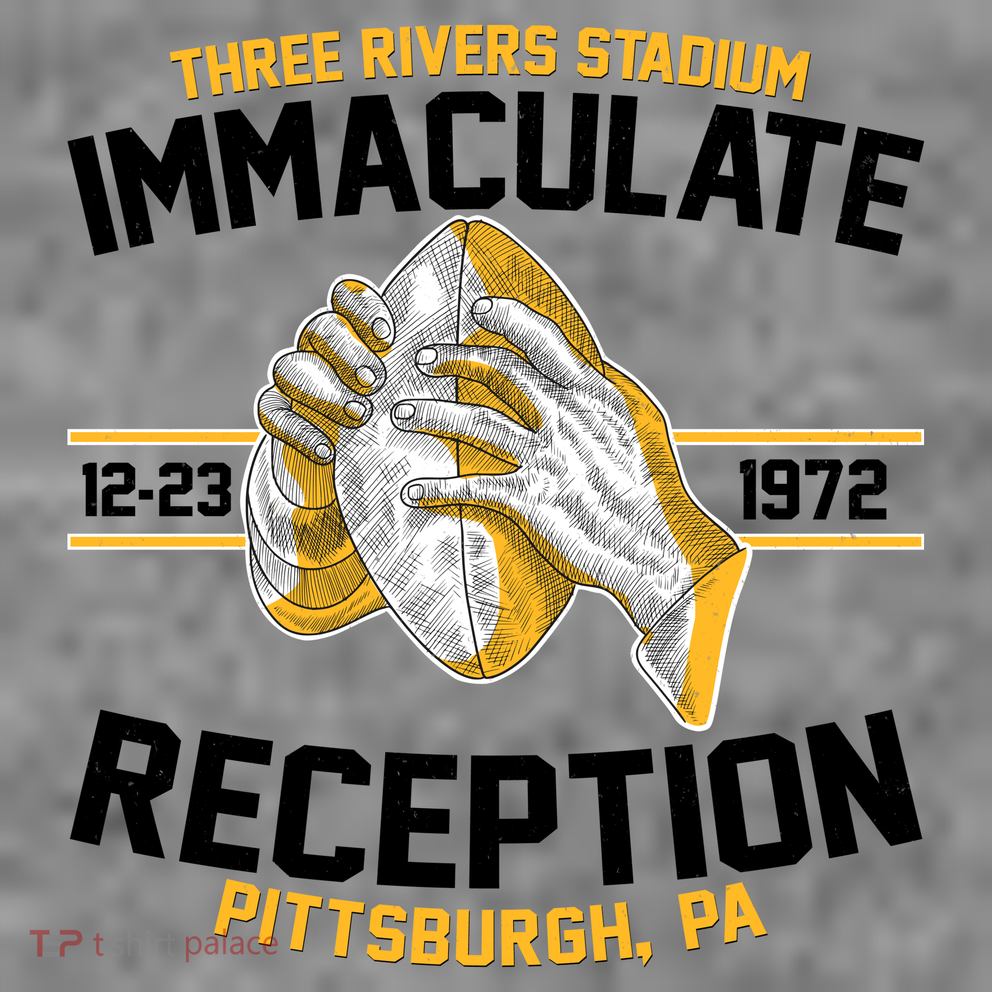 Vintage Three Rivers Stadium Immaculate Reception Football T-Shirt