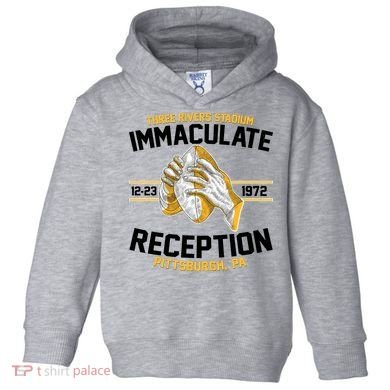 Vintage Three Rivers Stadium Immaculate Reception Football Toddler Hoodie