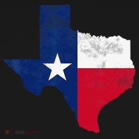 vintage Texas State USA Distressed Flag Grunge T-Shirt thumb 7
