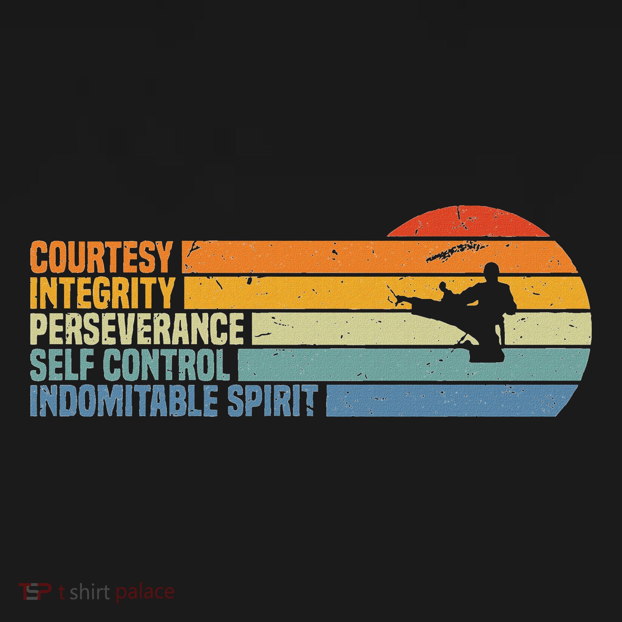 Vintage Taekwondo Tenets Martial Arts Graphic T-Shirt