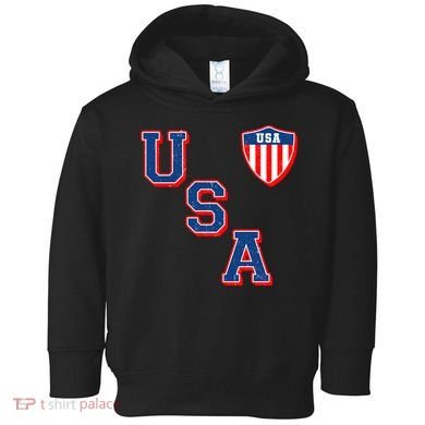 Vintage USA American Flag Shield Toddler Hoodie