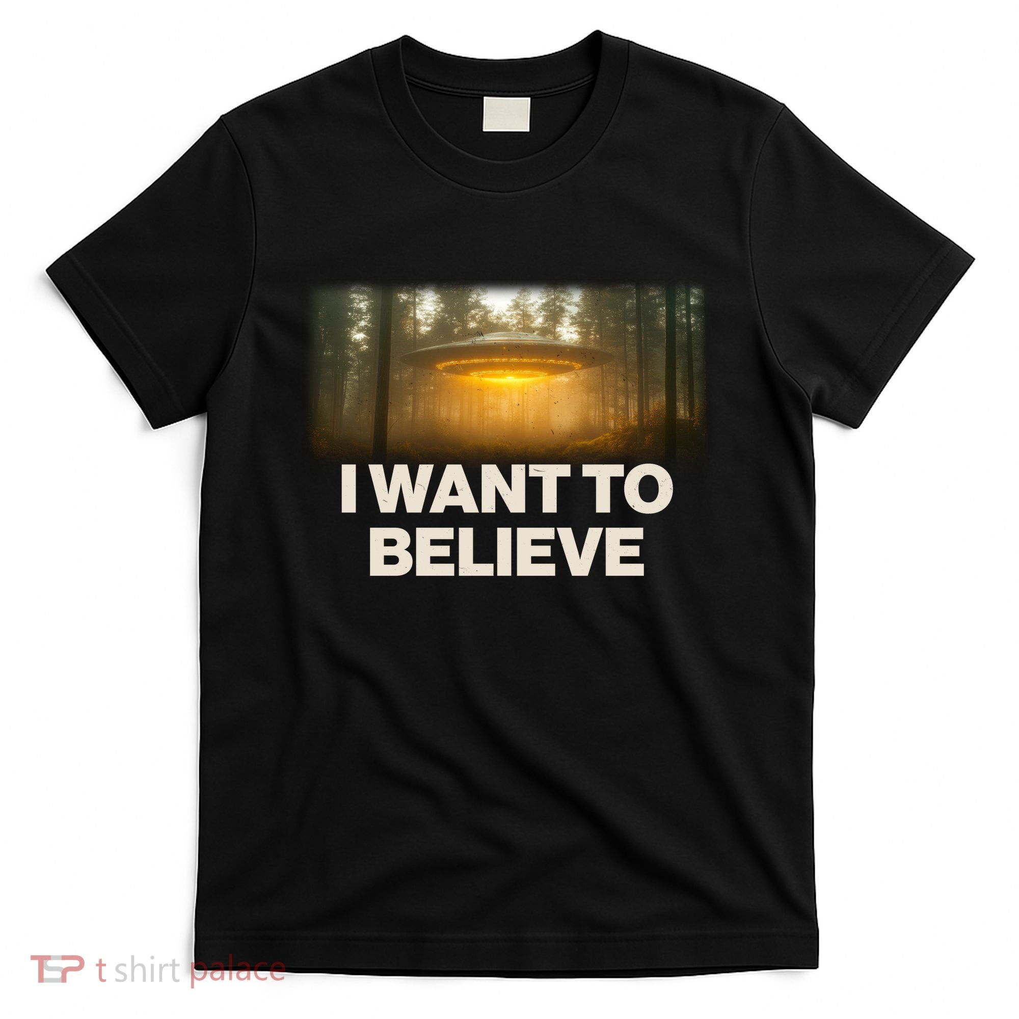 Vintage Ufo I Want To Believe T-Shirt