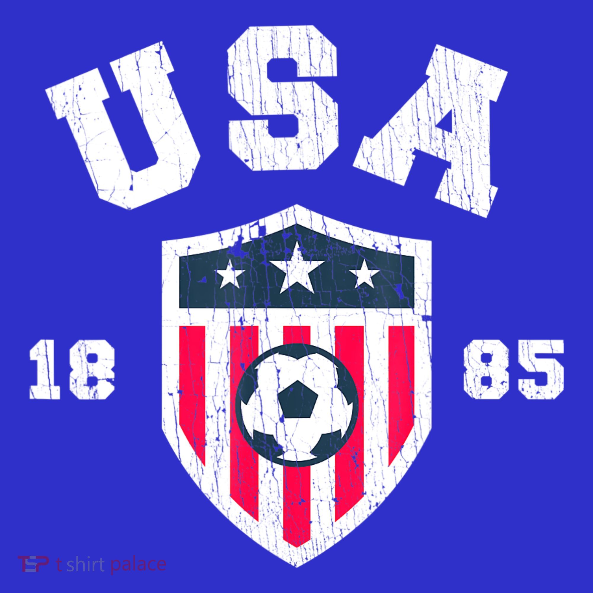Vintage USA Soccer 1885 American Flag Football T-Shirt