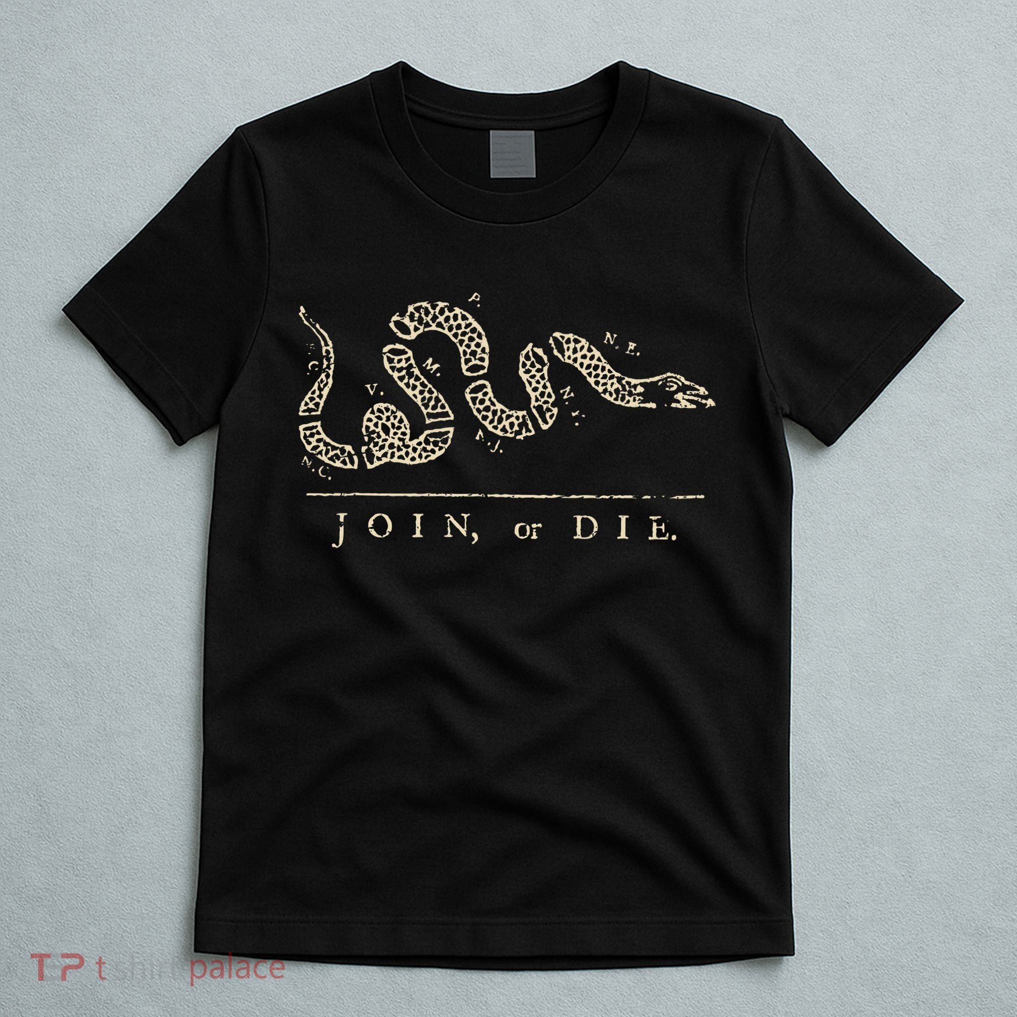 Vintage United States Ben Franklin 1754 Join Or Die Snake T-Shirt