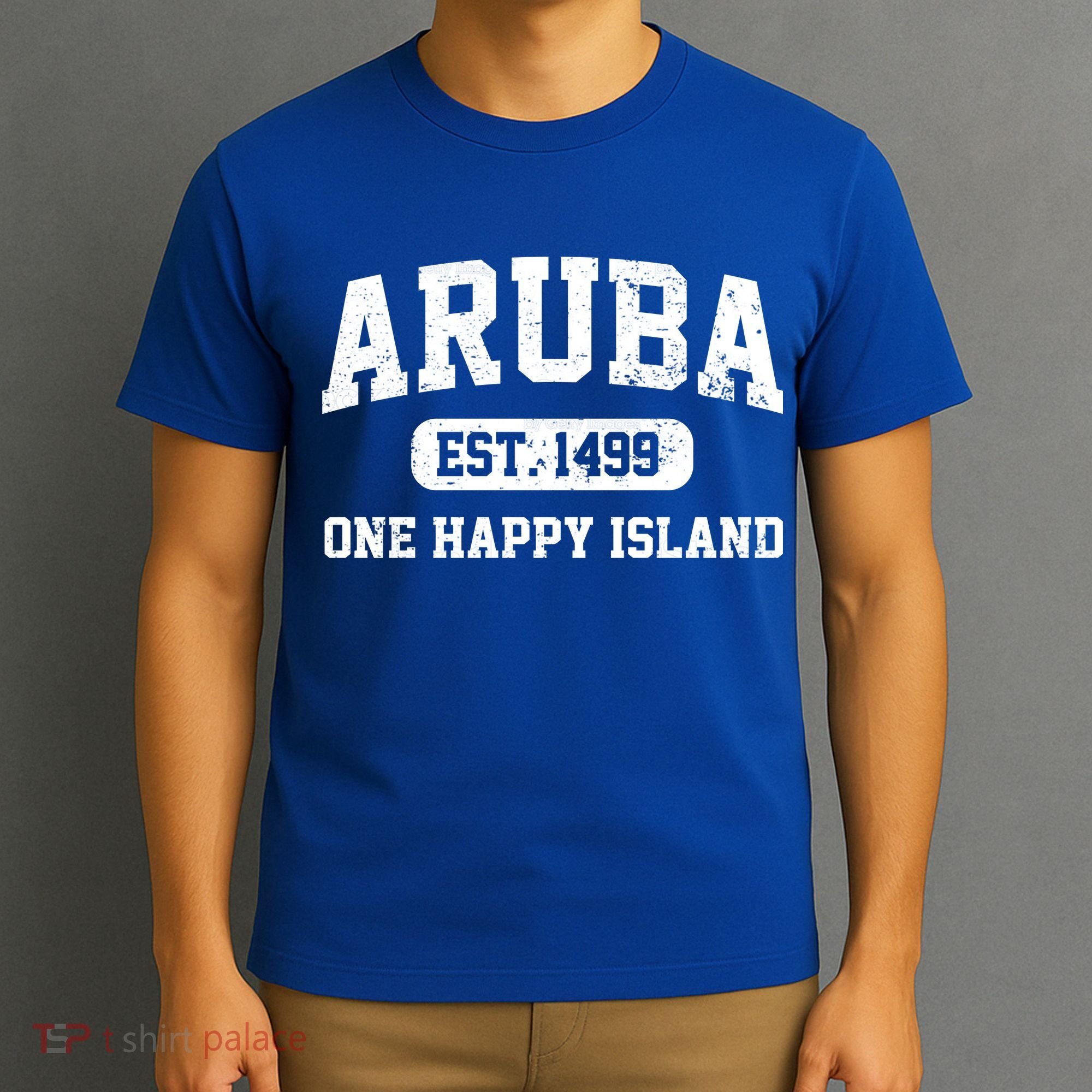 Vintage Varsity Aruba Gift T-Shirt