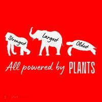 Vegan Vegetarian Powered By Plants Strongest Largest Oldest Santa Hat thumb 1