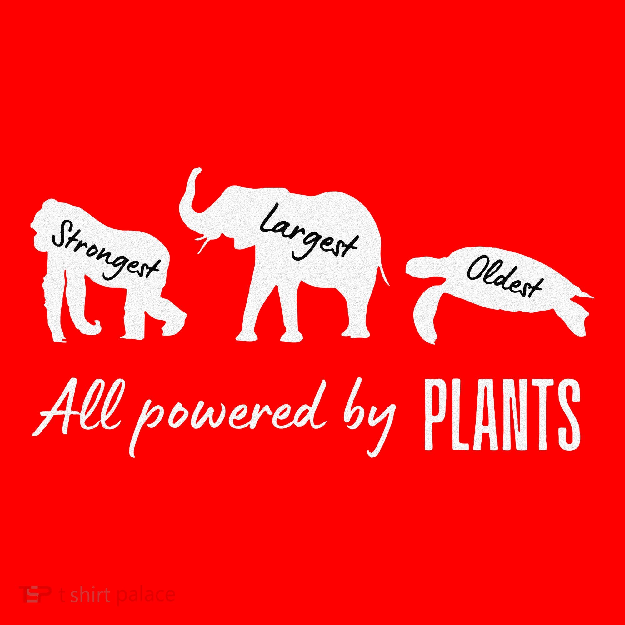 Vegan Vegetarian Powered By Plants Strongest Largest Oldest Santa Hat