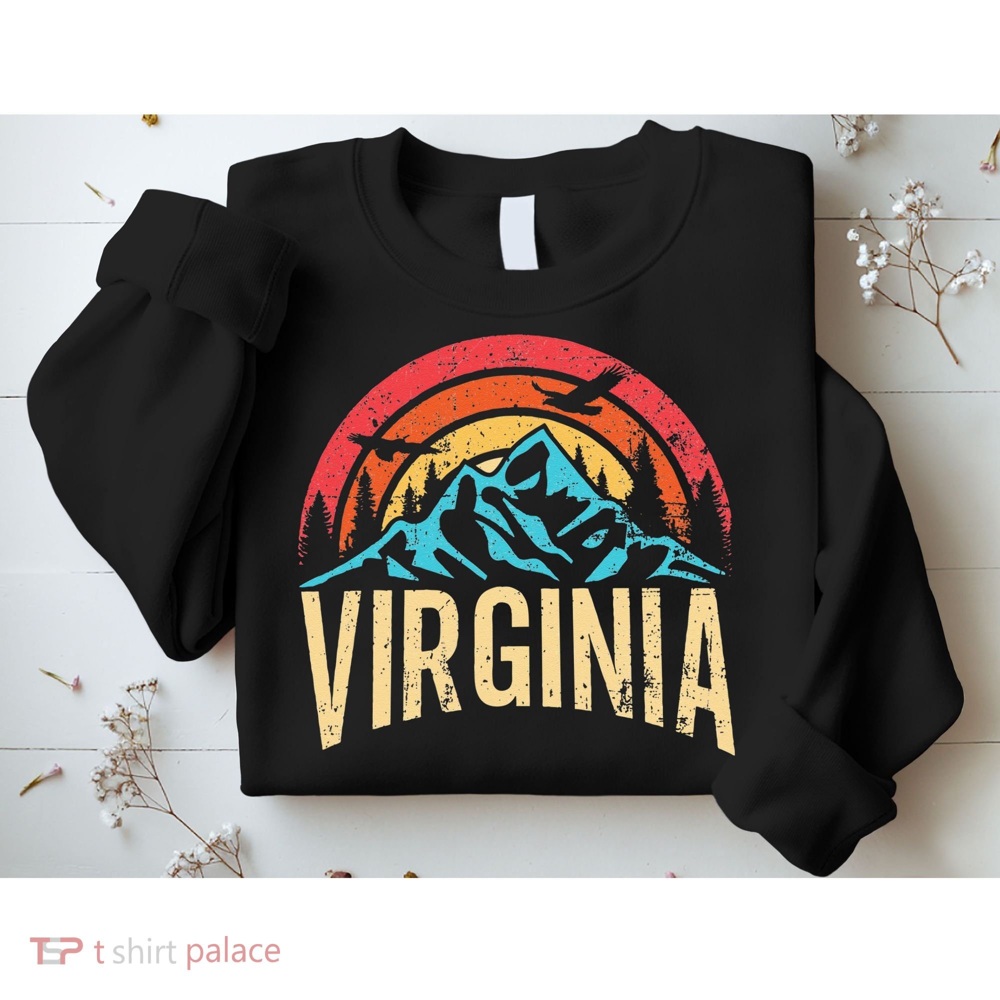 Virginia Virginia State Retro Virginia Sweatshirt