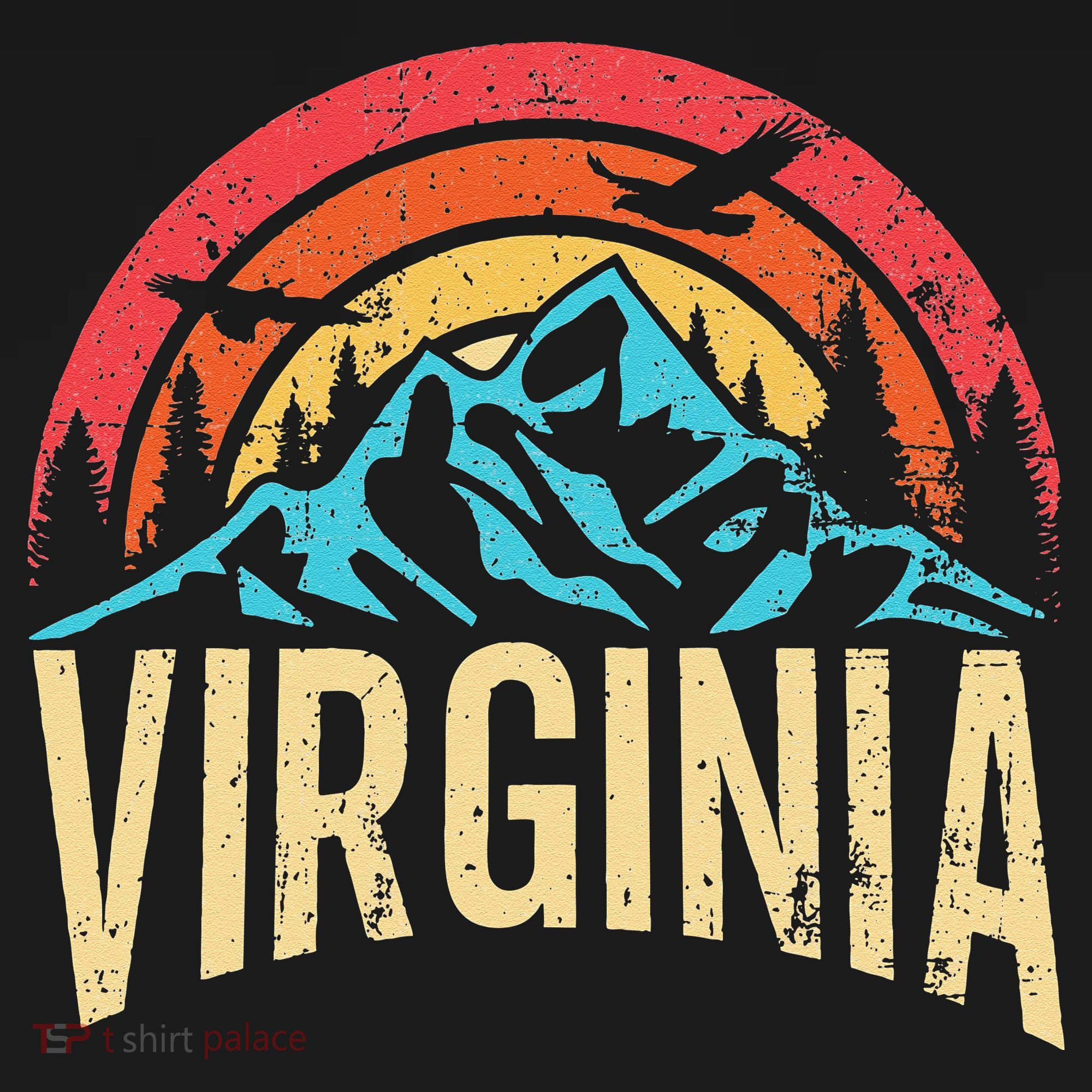 Virginia Virginia State Retro Virginia T-Shirt
