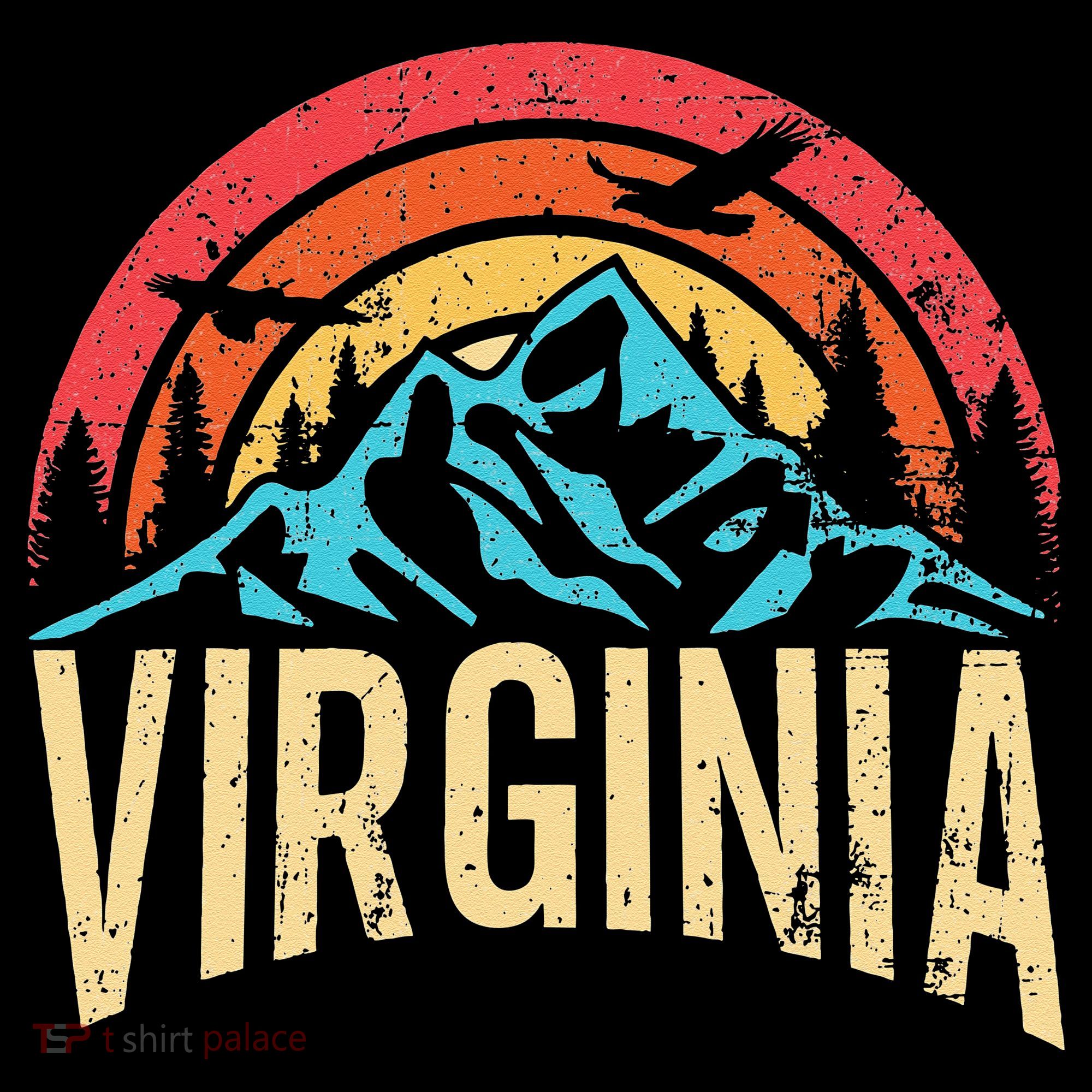 Virginia Virginia State Retro Virginia Women's Hoodie