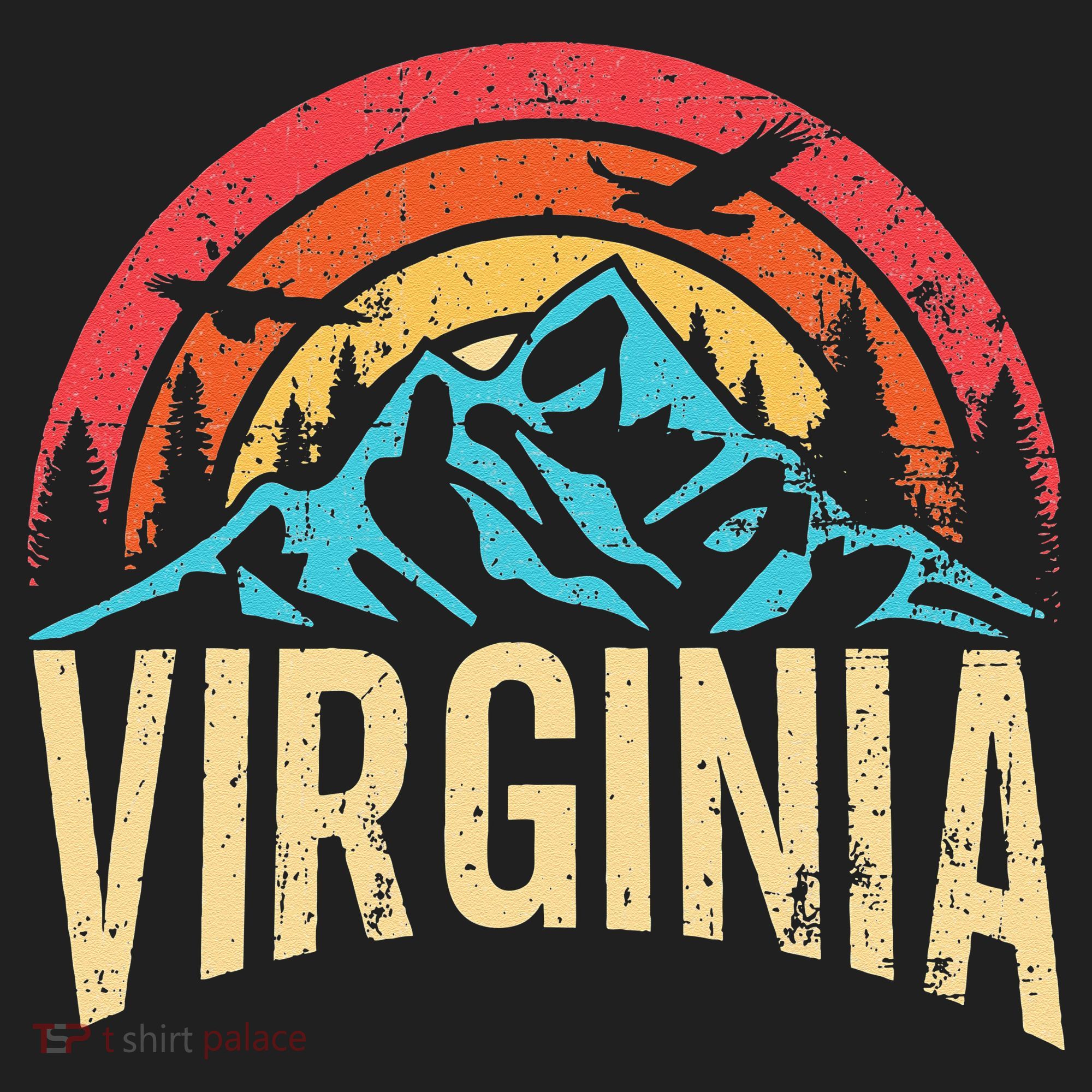 Virginia Virginia State Retro Virginia Tumbler