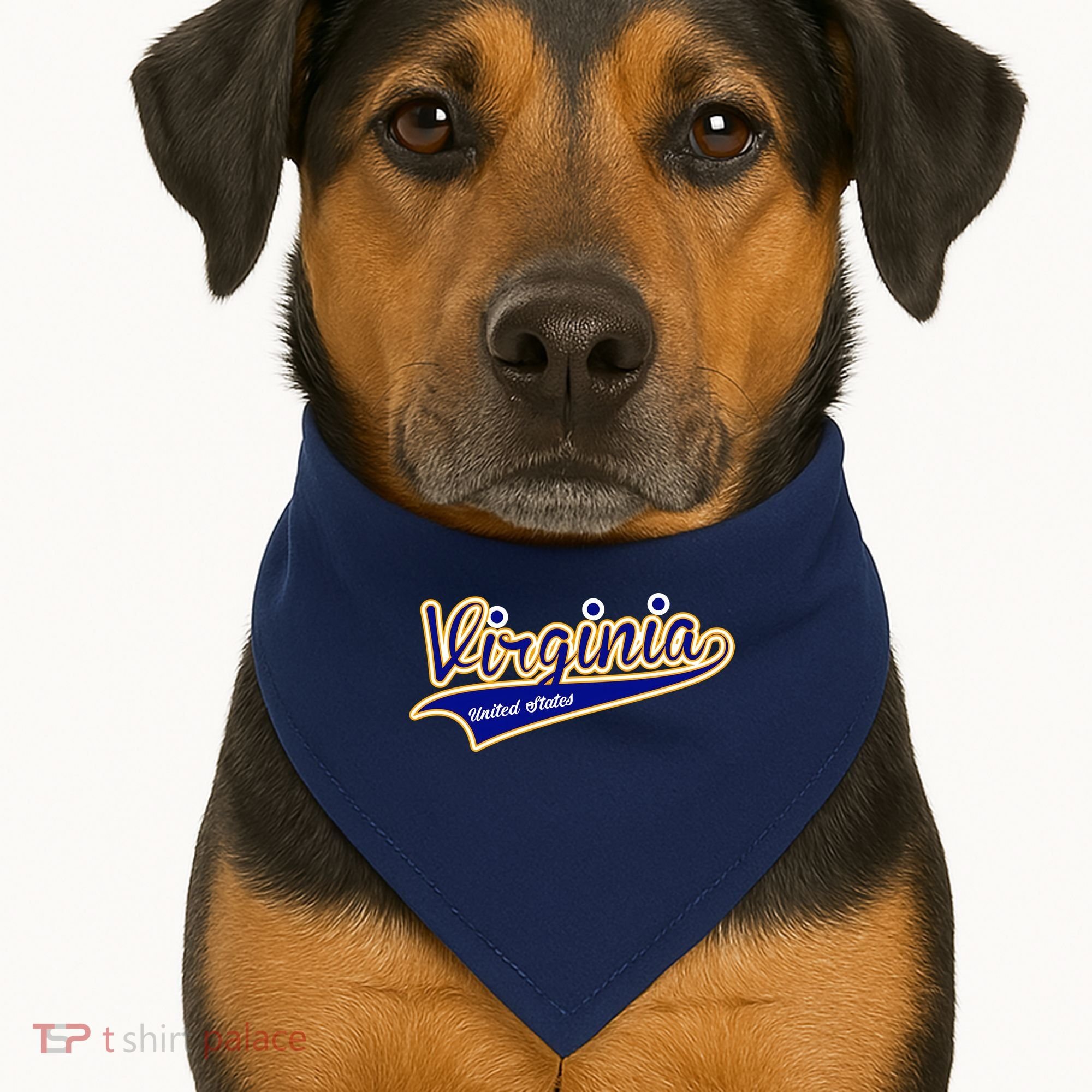 Virginia Varsity Style USA-Made Doggie Bandana