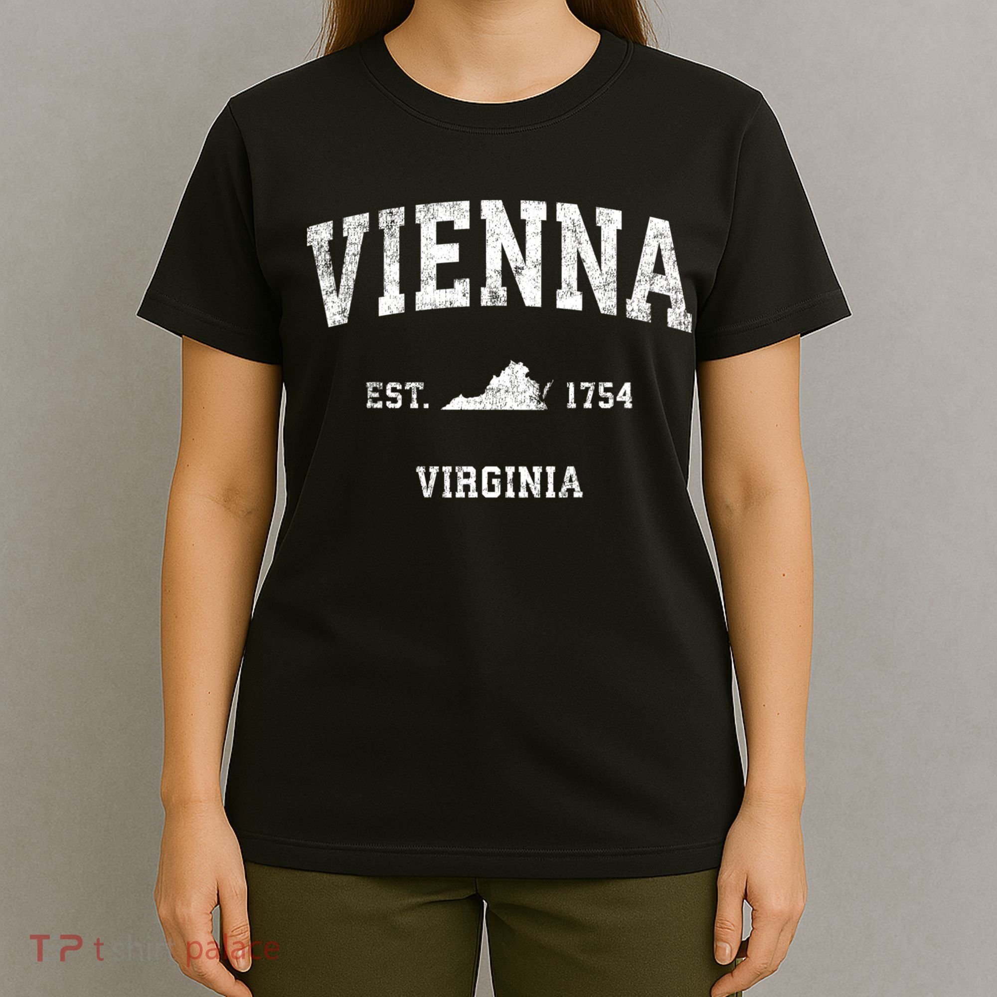 Vienna Virginia Va Vintage Sports T-Shirt