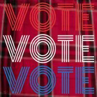Vote Vote Vote Red White Blue Retro Election  Women's Flannel Plaid Pajama Pants thumb 2