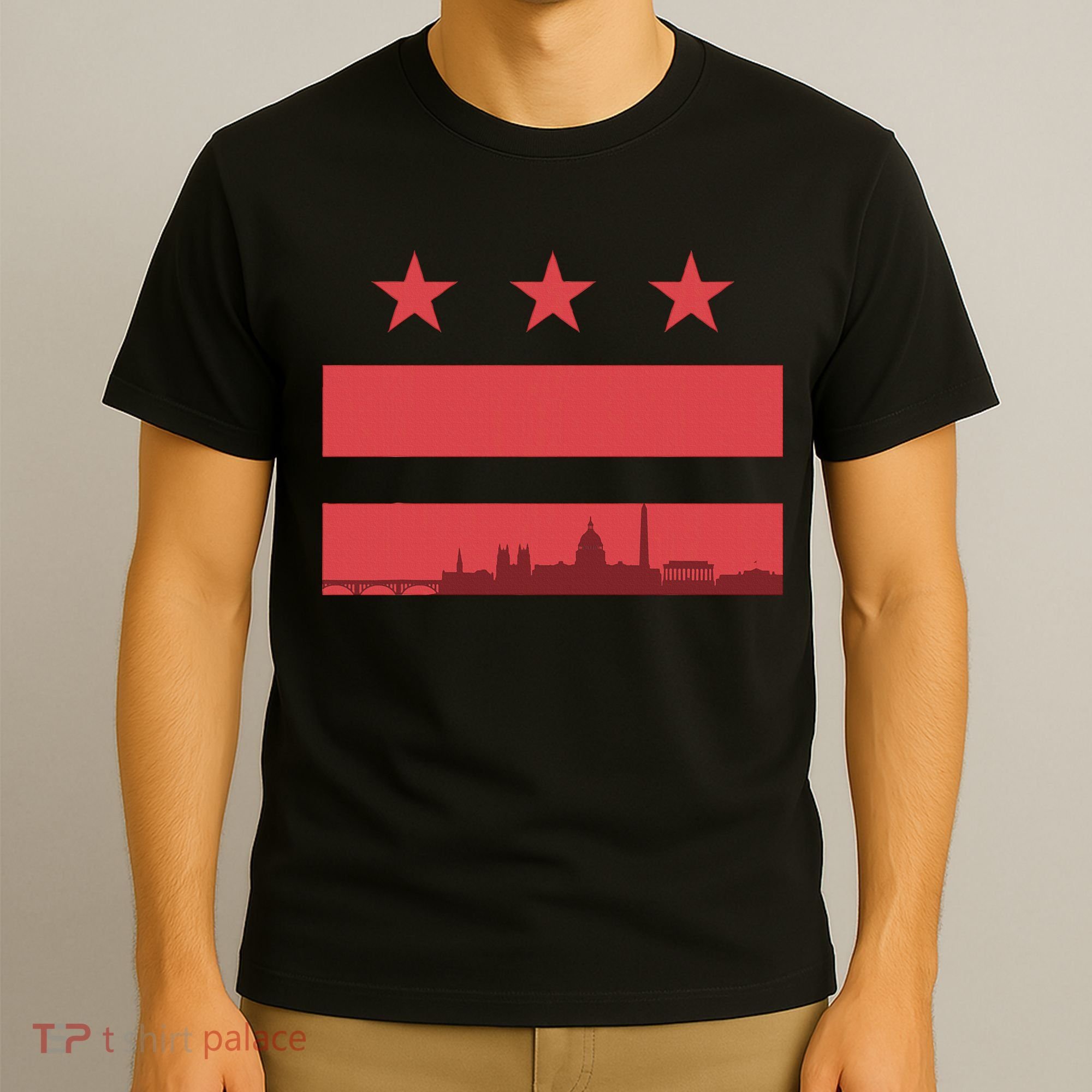 Vintage Washington Dc Retro Flag T-Shirt