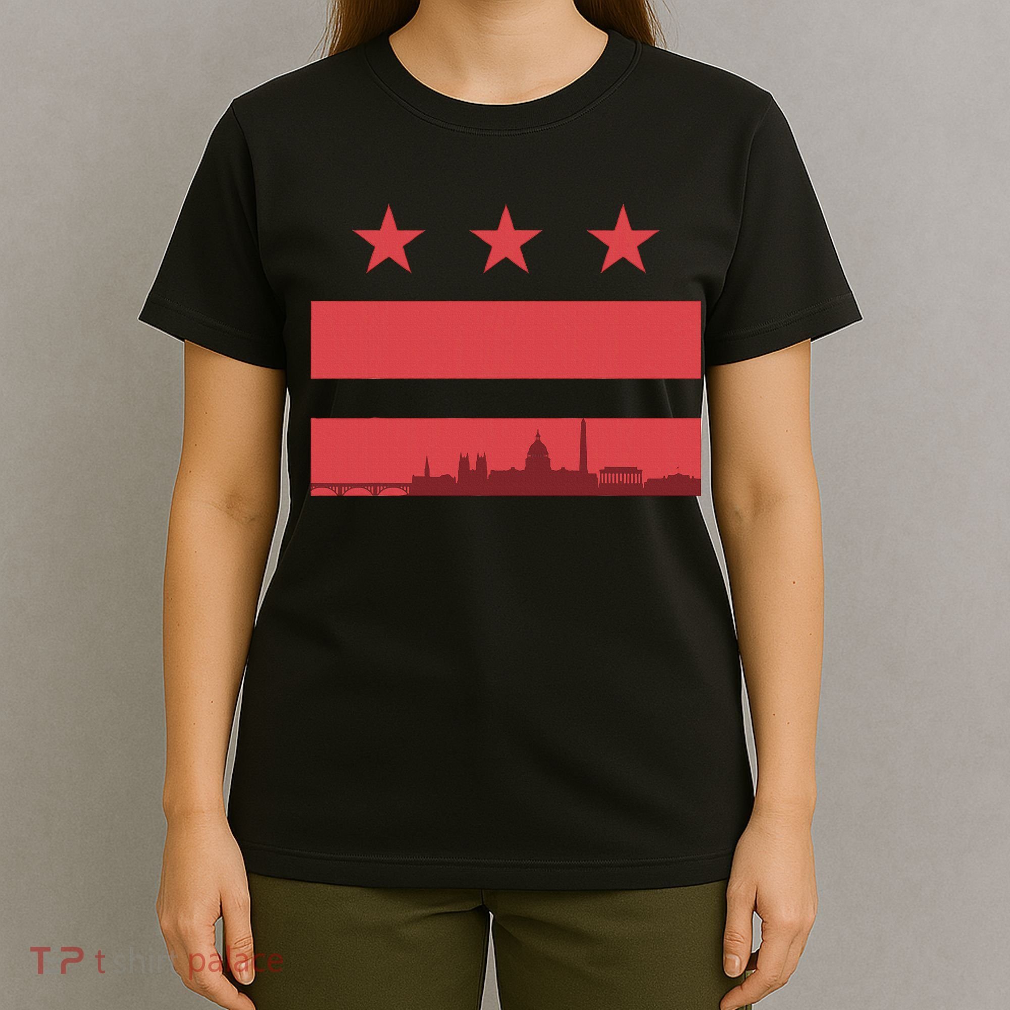 Vintage Washington Dc Retro Flag T-Shirt