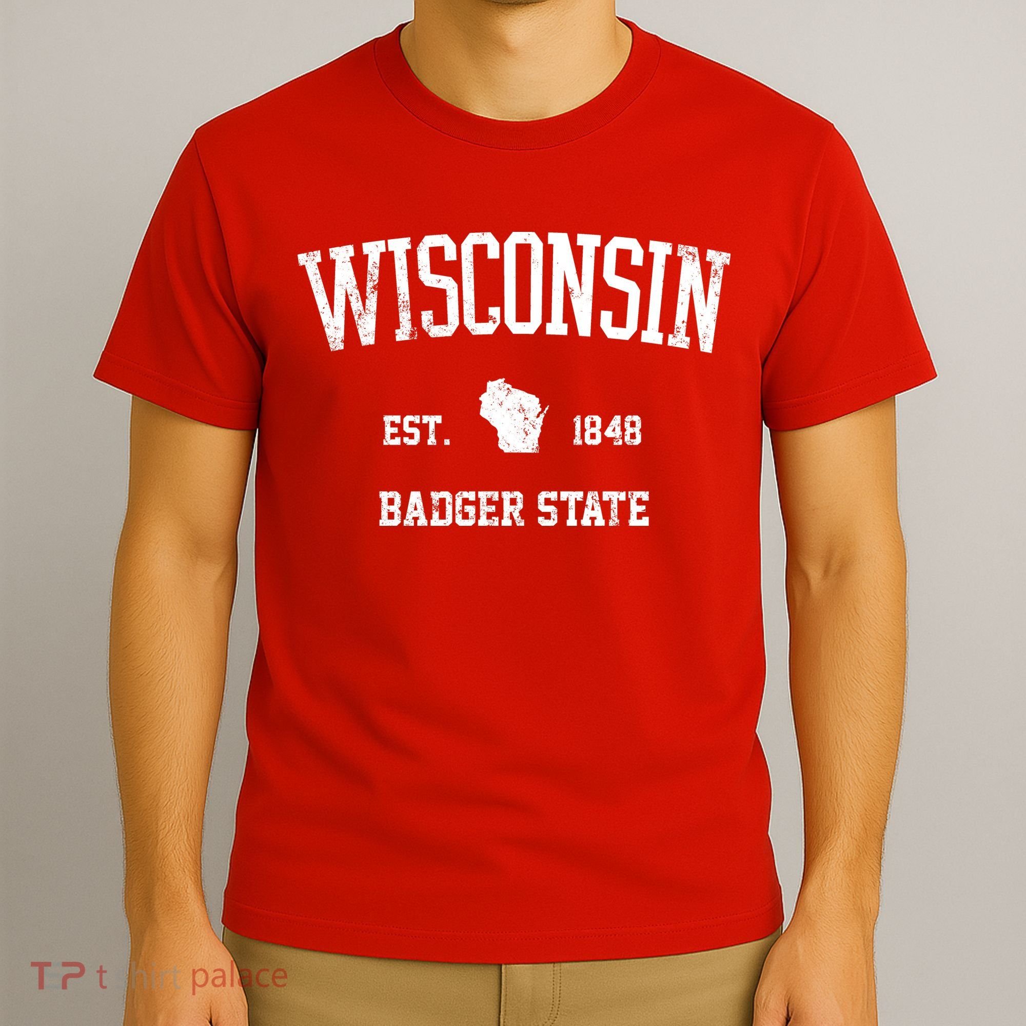 Vintage Wisconsin Est 1849 Badger State T-Shirt