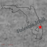 Valencia Walk Port St Lucie Florida Toddler Hoodie thumb 2