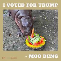 Victory Won Trump I Voted Moo Deng Prediction Garbage Legend T-Shirt thumb 7