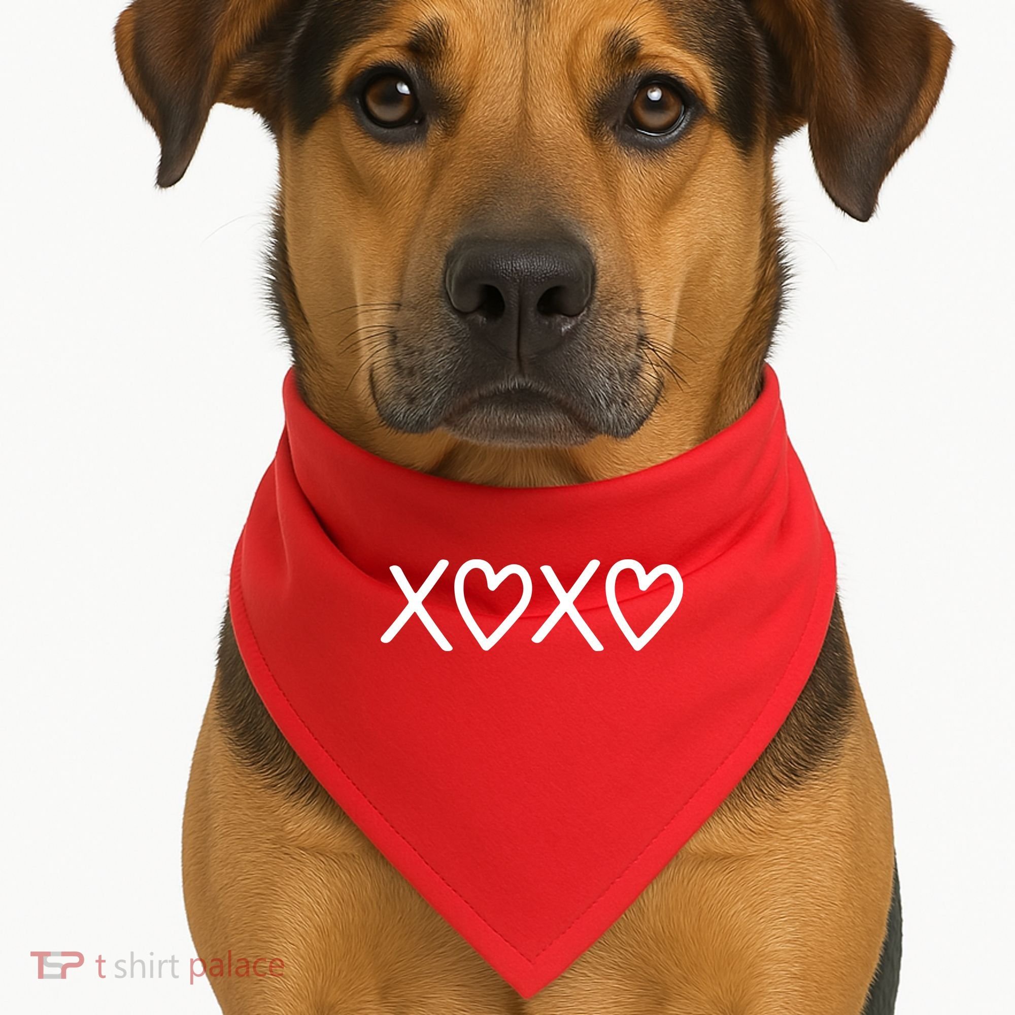 Valentine Xoxo Best Gift For Him For Her USA-Made Doggie Bandana