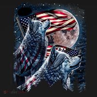 Wolf 4th Of July American Flag Howling Wolves Under Moon Women's Hoodie thumb 2