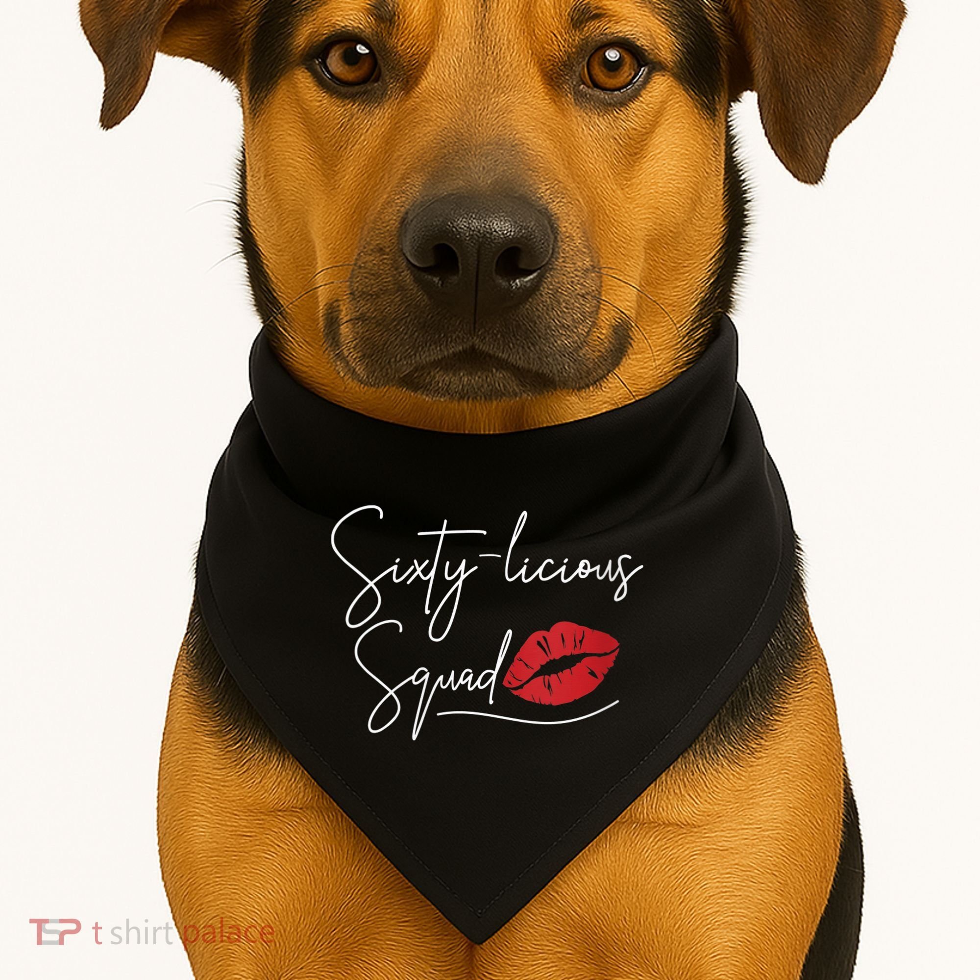 Wo 60th Birthday, Sixty-licious Squad USA-Made Doggie Bandana