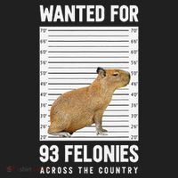 Wanted 93 Felonies Capybara Mugshots Rodent Owners Women's Sweatshirt thumb 2