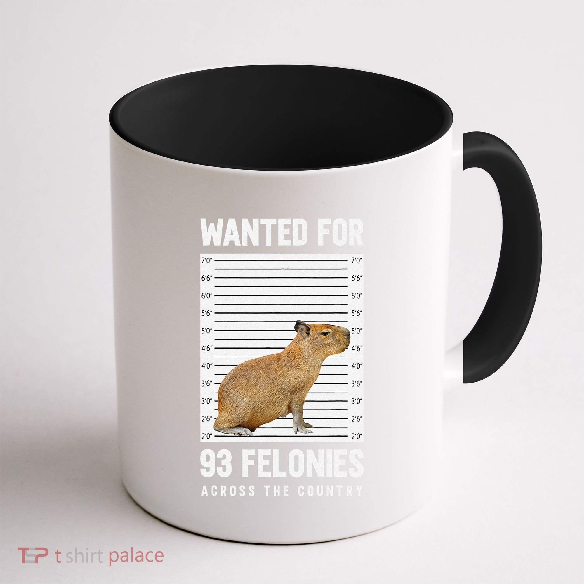 Wanted 93 Felonies Capybara Mugshots Rodent Owners Coffee Mug